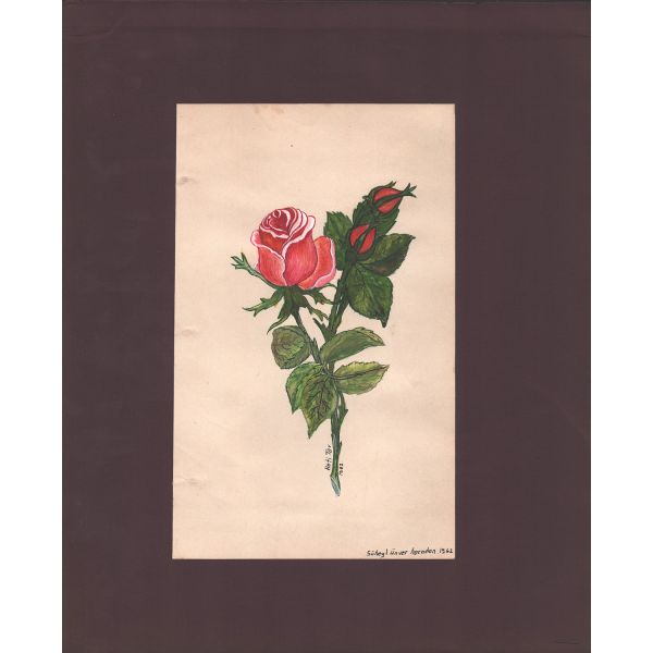 Süheyl Ünver´in talebelesi Heti Tav imzalı gül taraması, 1962, 25x30 cm...