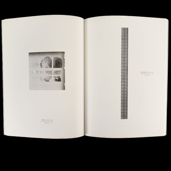ABOUT PAINTING / EARLY WORKS, Gerhard Richter, Hirmer Publishers, 128 sayfa, 24x32 cm...
